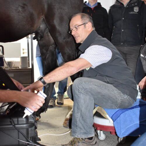 Pferde-Fortbildung mit Dr. Jean-Marie Denoix beim Ultraschall